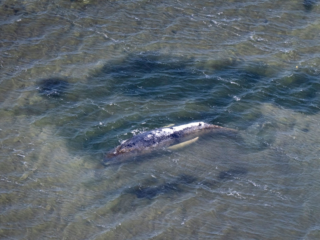 Eine Rinne in der Kirchsee vor der Insel Poel führt vom Wal in tieferes Gewässer (Aufnahme aus einem Flugzeug).