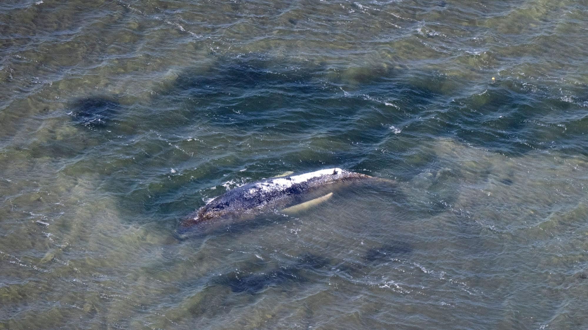 Eine Rinne in der Kirchsee vor der Insel Poel führt vom Wal in tieferes Gewässer (Aufnahme aus einem Flugzeug).