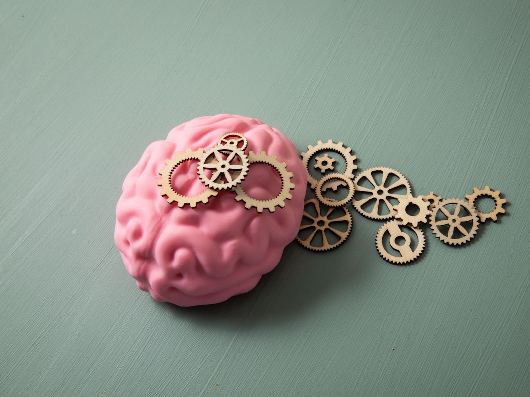Das Modell eines Gehirns liegt neben zahlreichen Zahnrädern