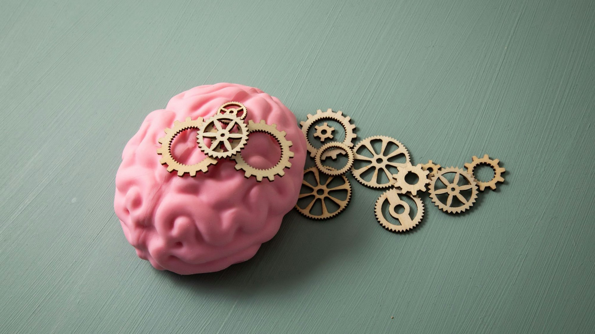 Das Modell eines Gehirns liegt neben zahlreichen Zahnrädern
