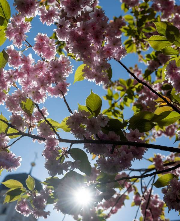 Wetter