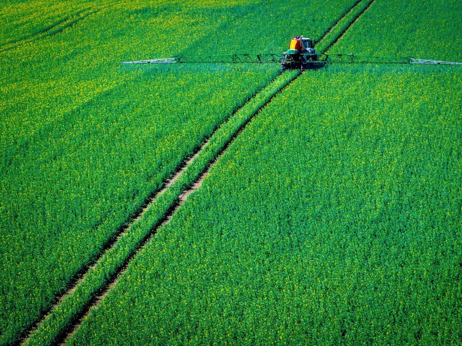 Pflanzenschutz auf Rapsfeld