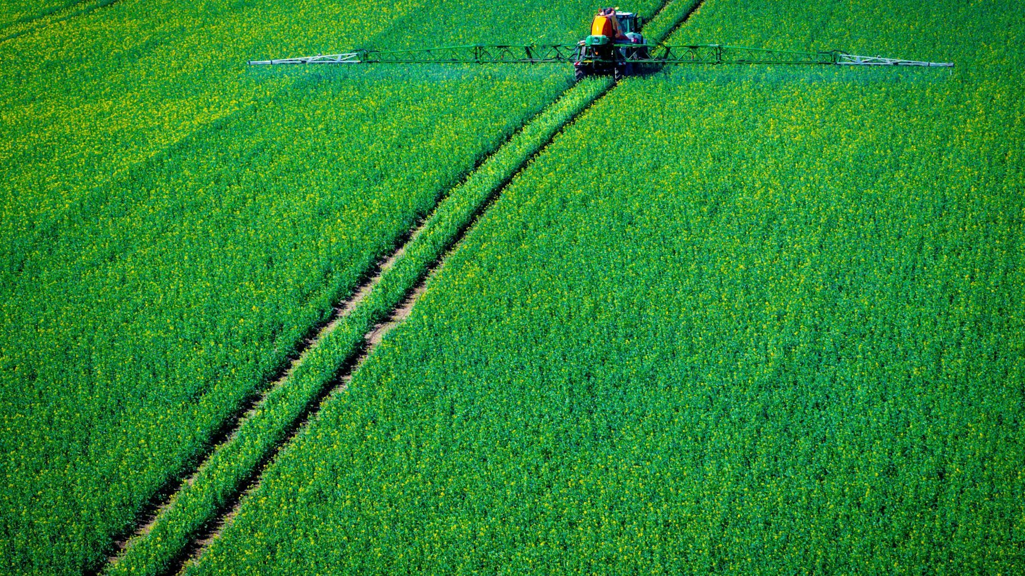 Pflanzenschutz auf Rapsfeld