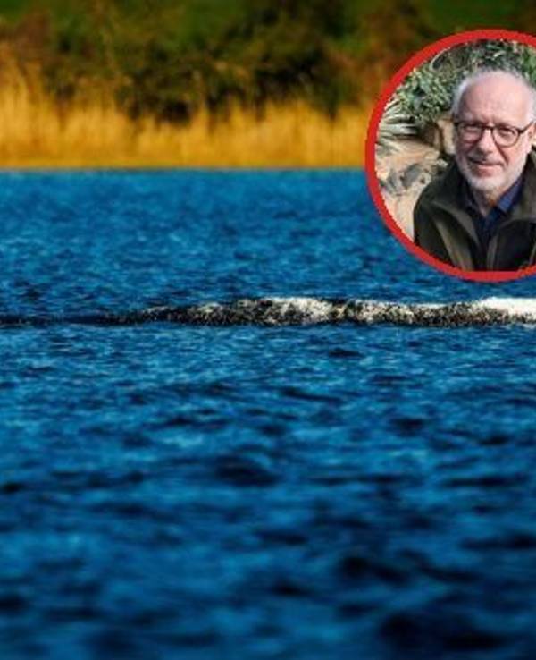 Die Collage zeigt den in der Ostsee gestrandeten Buckelwal Timmy, dazu die Kölner Zoo-Tierärztin Sandra Marcordes (l.) und den Kölner Zoo-Direktor Dr Theo Pagel.