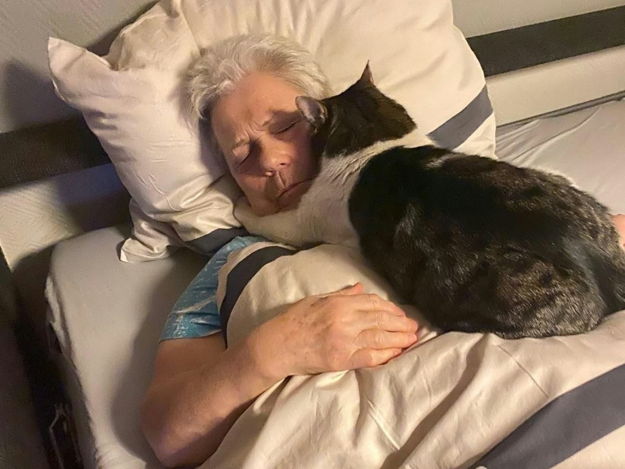 Eine Katze hat die Vorderpfoten um den Hals einer schlafenden Frau gelegt.