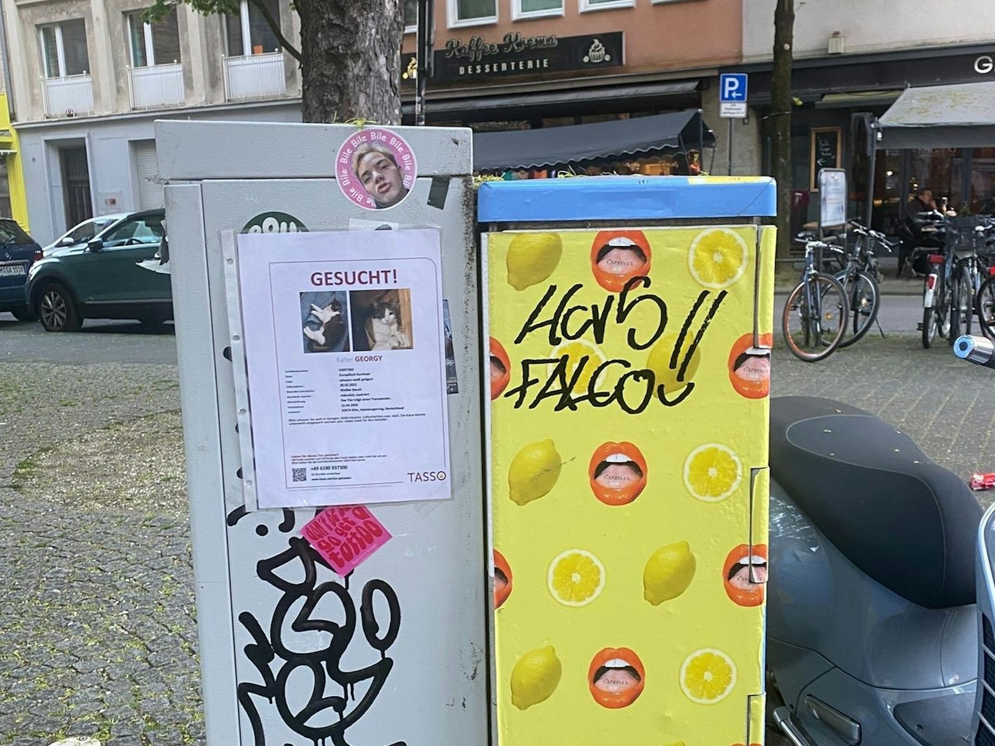 Ein Plakat mit der Überschrift "Gesucht!" und zwei Katzenfotos hängt an einem Stromkasten.