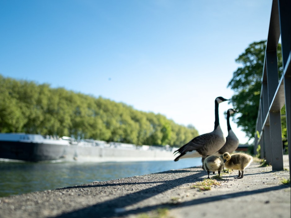 Wetter in Nordrhein-Westfalen