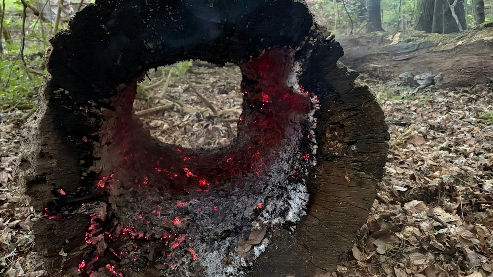 Feuerwehr Rösrath bei mehreren Einsätzen am Dienstag.