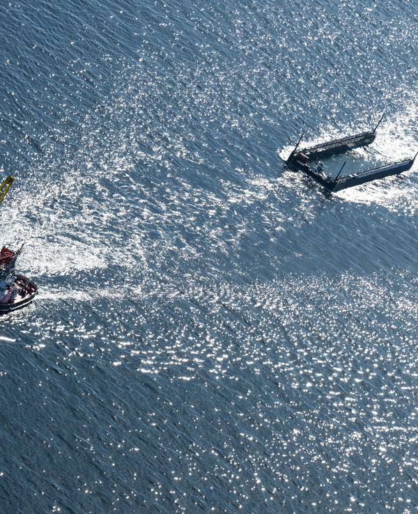 Ein Schlepperverband zieht den Wal in einem mit Wasser gefüllten Lastkahn kurz vor der dänischen Grenze.