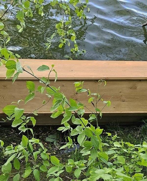 Ein Sarg liegt am Ufer des Mains. Polizei und Feuerwehr waren zu dem ungewöhnlichen Fund gerufen worden.