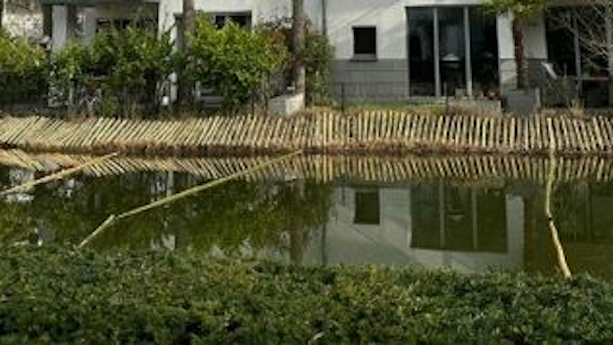Ein Zaun aus Stäben befindet sich an einem Seeufer vor einem Wohnhaus.