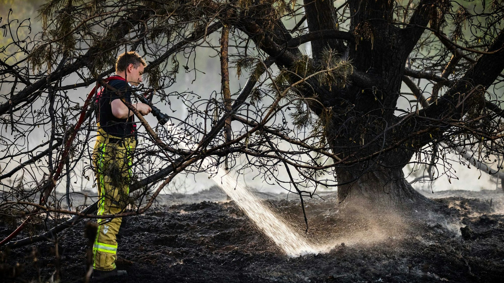 Naturbrände in den Niederlanden
