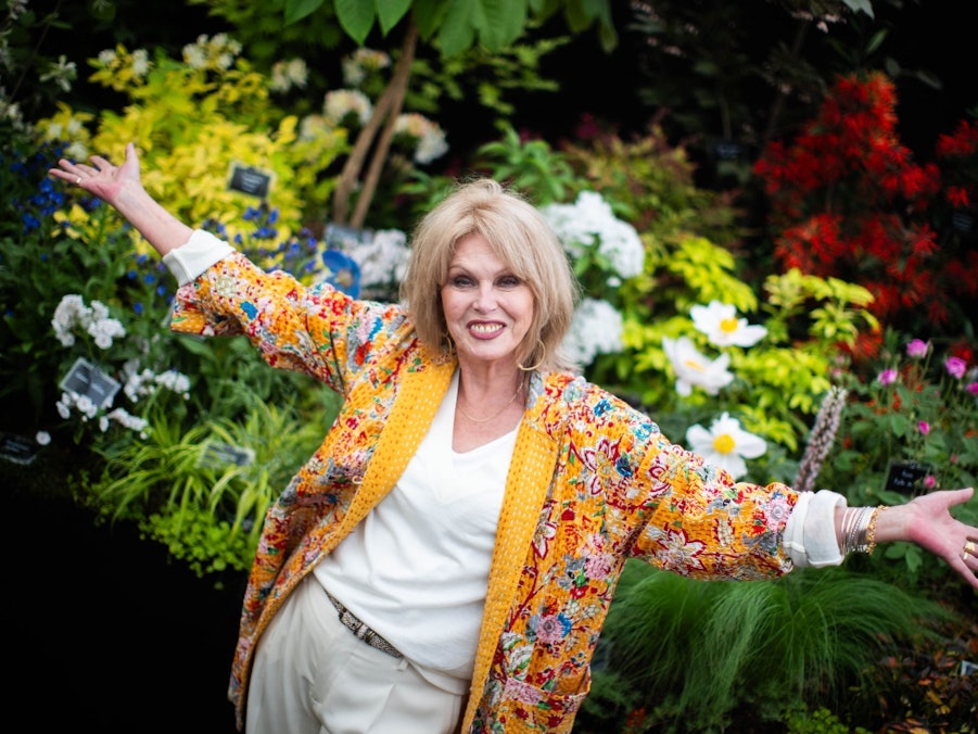 Nationalschatz und Comedy-Ikone: Joanna Lumley wird 80