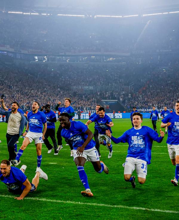 Schalke-Profis feiern auf dem Rasen.