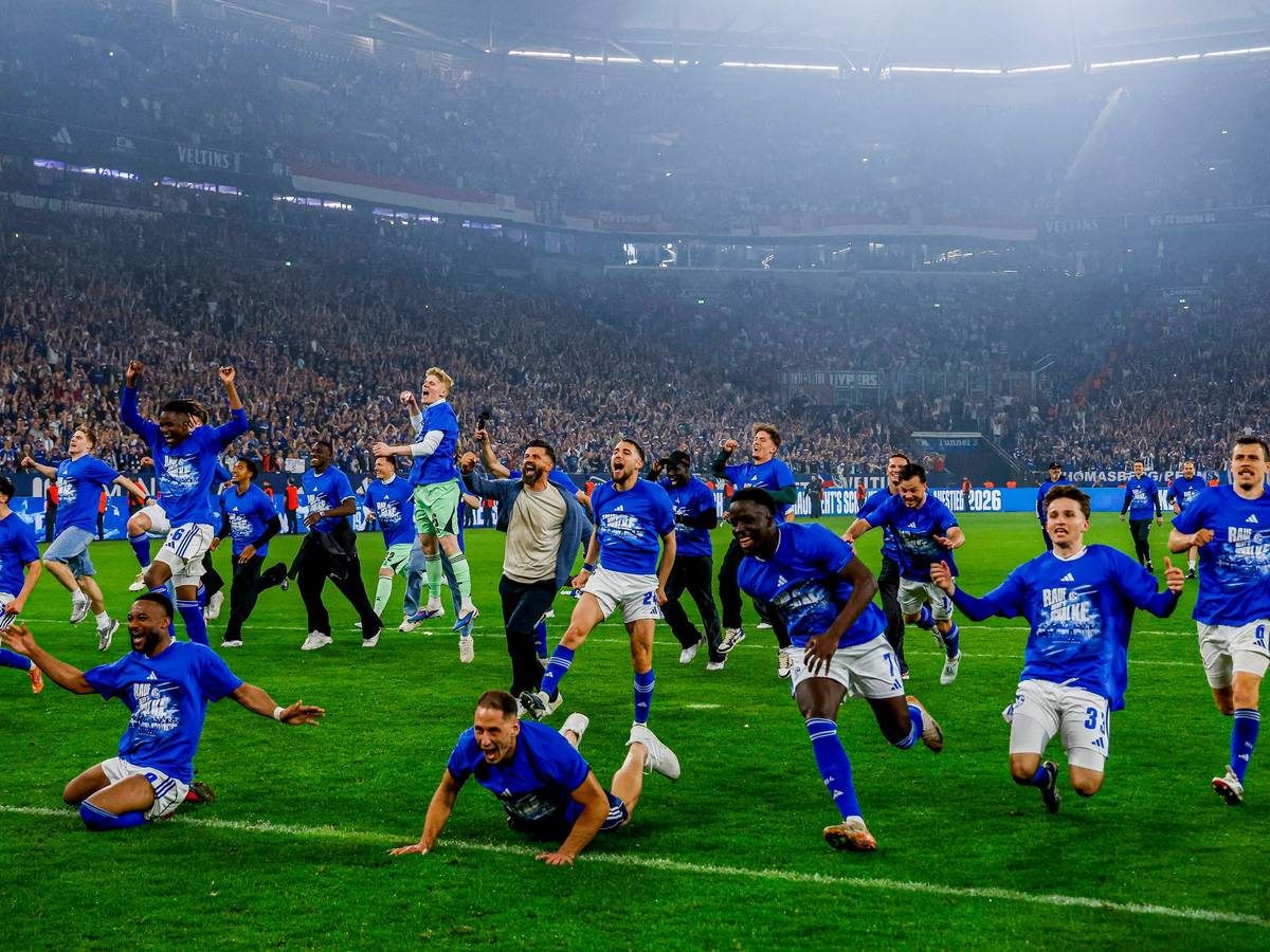Schalke-Profis feiern auf dem Rasen.