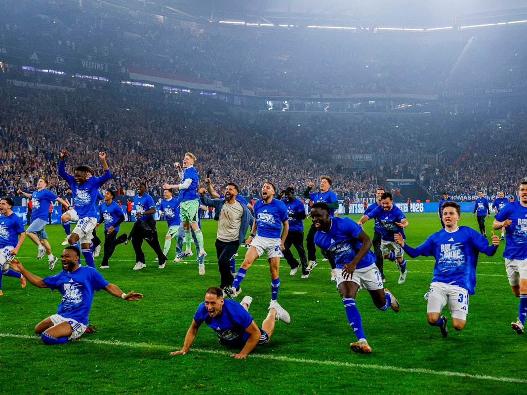 Schalke-Profis feiern auf dem Rasen.