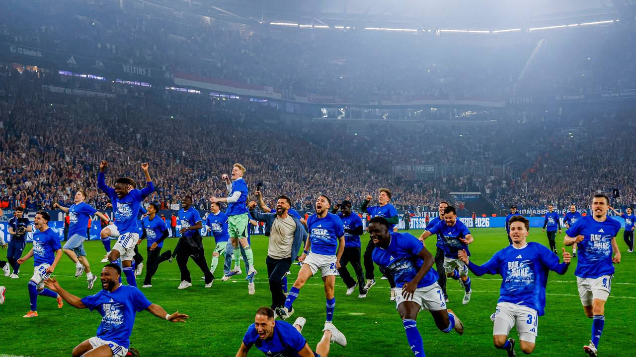 Schalke-Profis feiern auf dem Rasen.