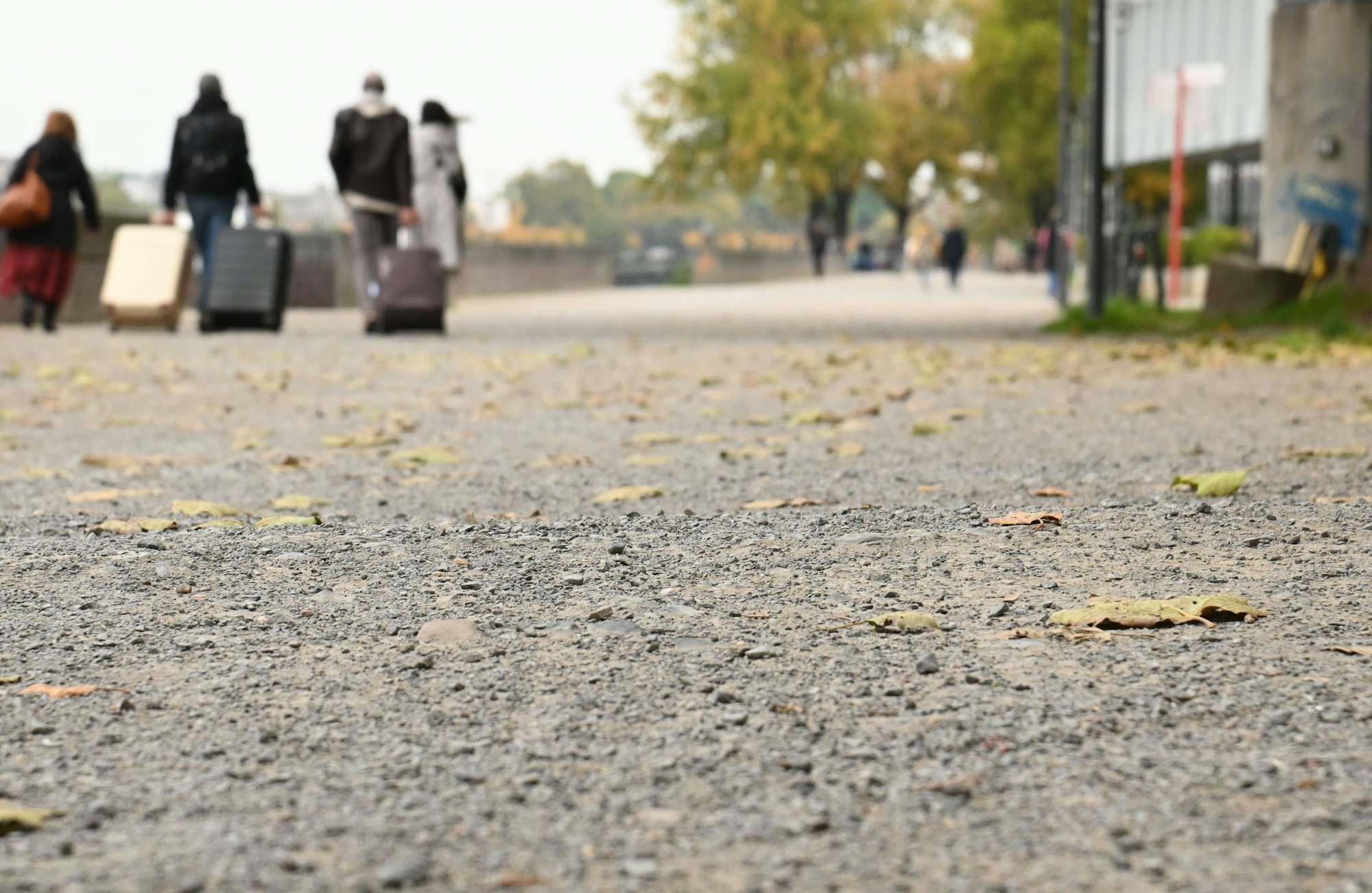 Der Rheinboulevard soll ausgebaut werden. Derzeit gleicht der Fuß- und Radweg zwischen Hohenzollernbrücke und Tanzbrunnen einer Buckelpiste.
