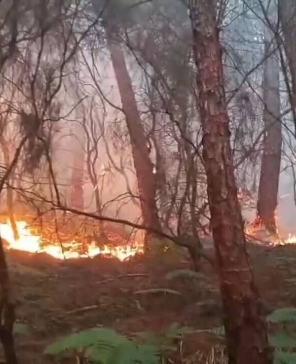 Waldbrand in der Toskana
