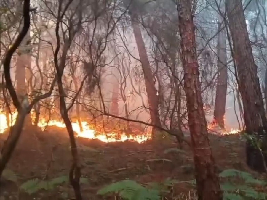 Waldbrand in der Toskana