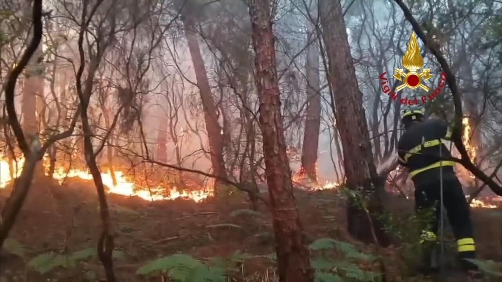 Waldbrand in der Toskana