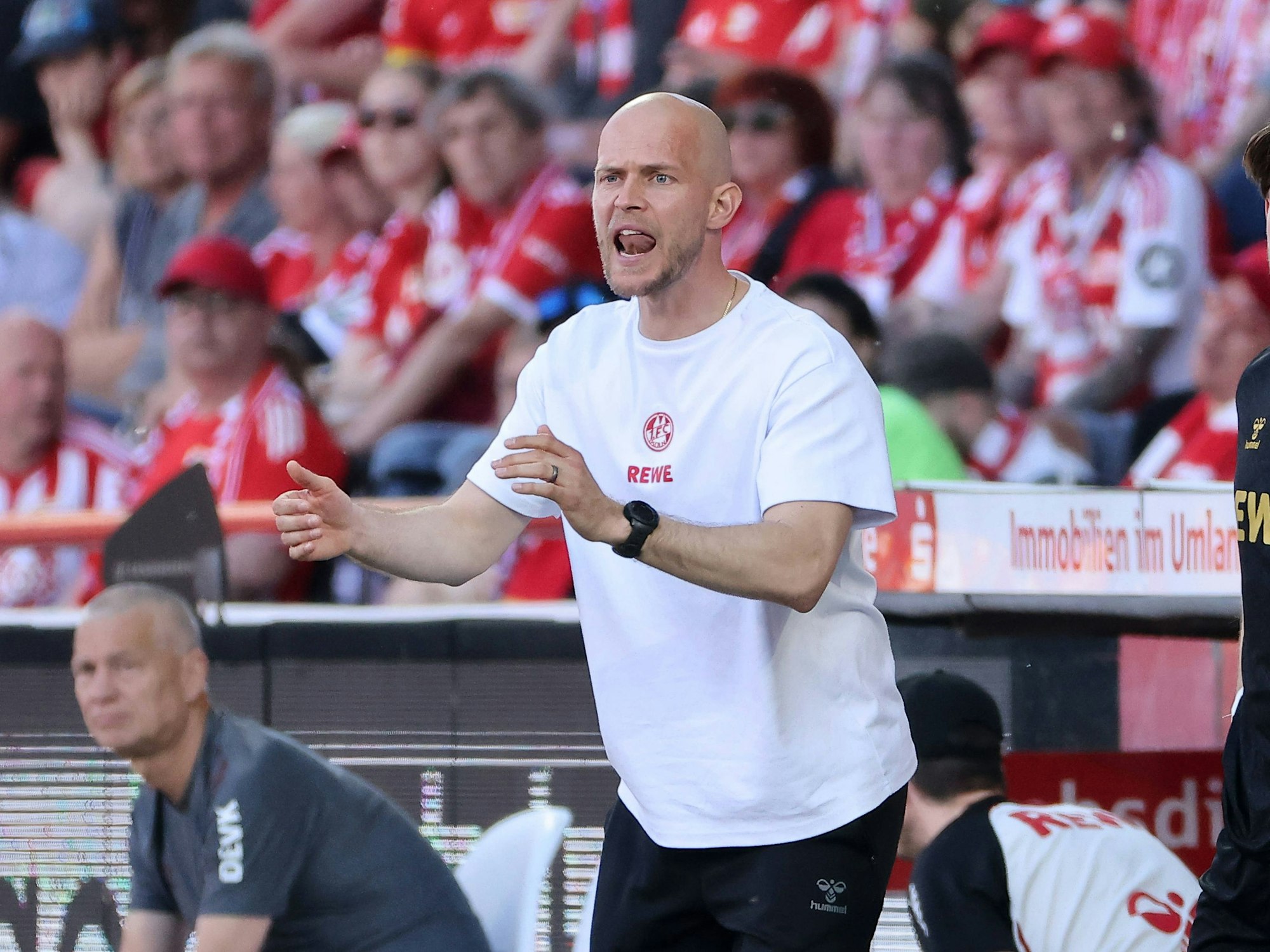René Wagner beim Spiel gegen Union Berlin.