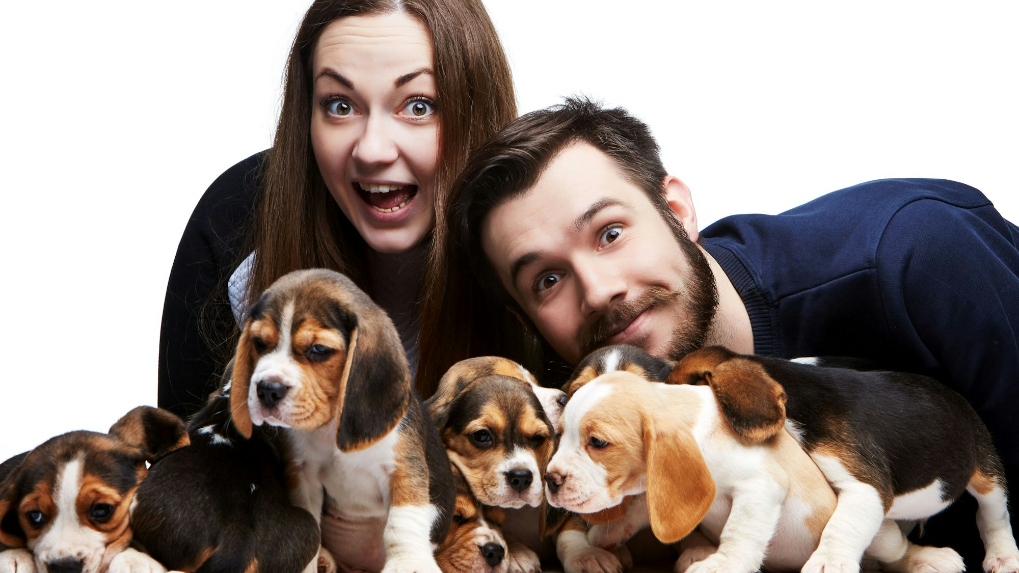 Mann, Frau und Beagle-Welpen