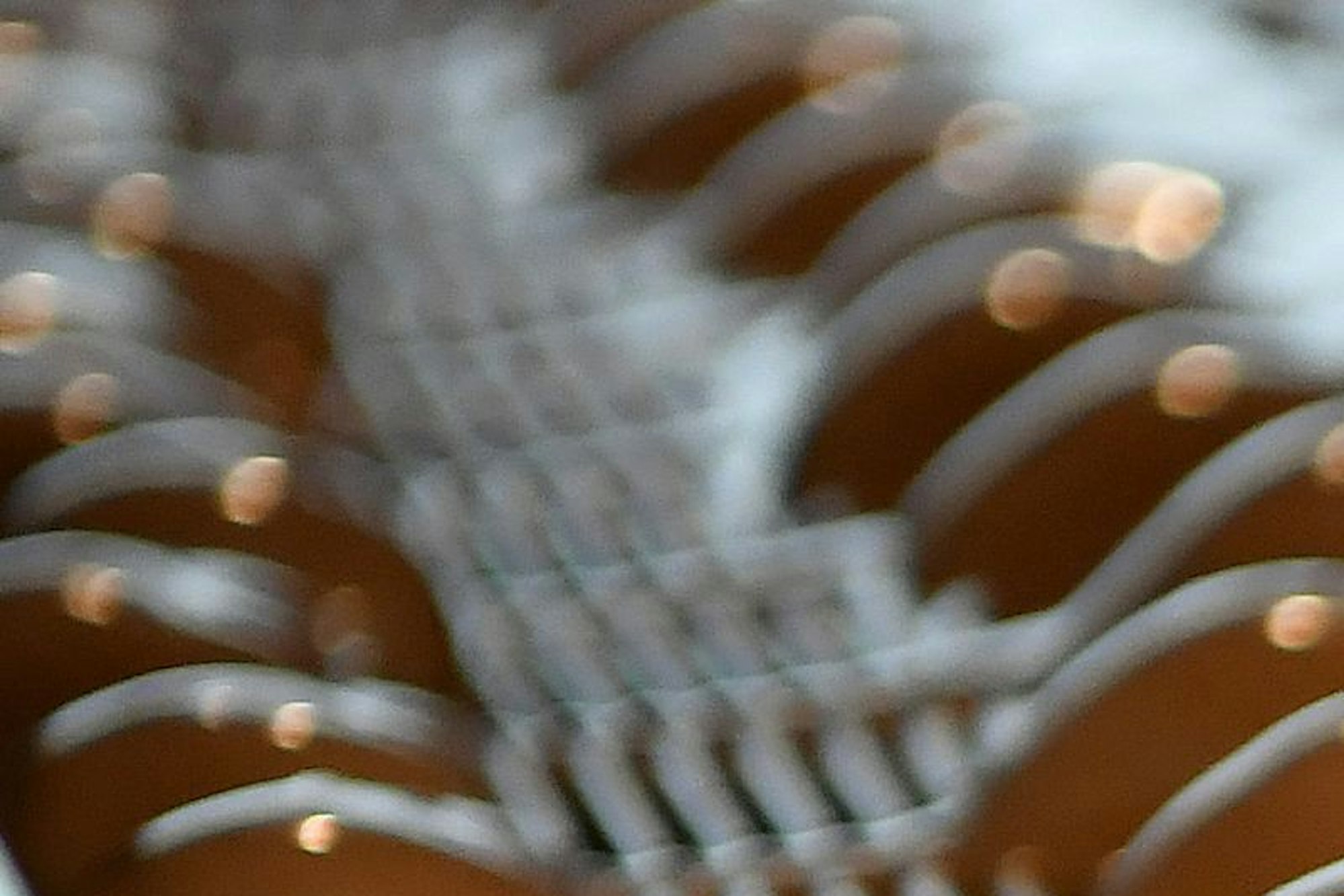 Schokoherzen