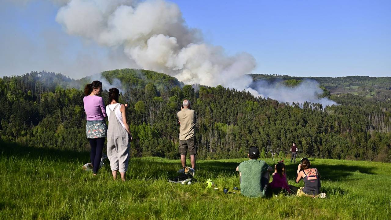 Waldbrand im Nationalpark Böhmische Schweiz