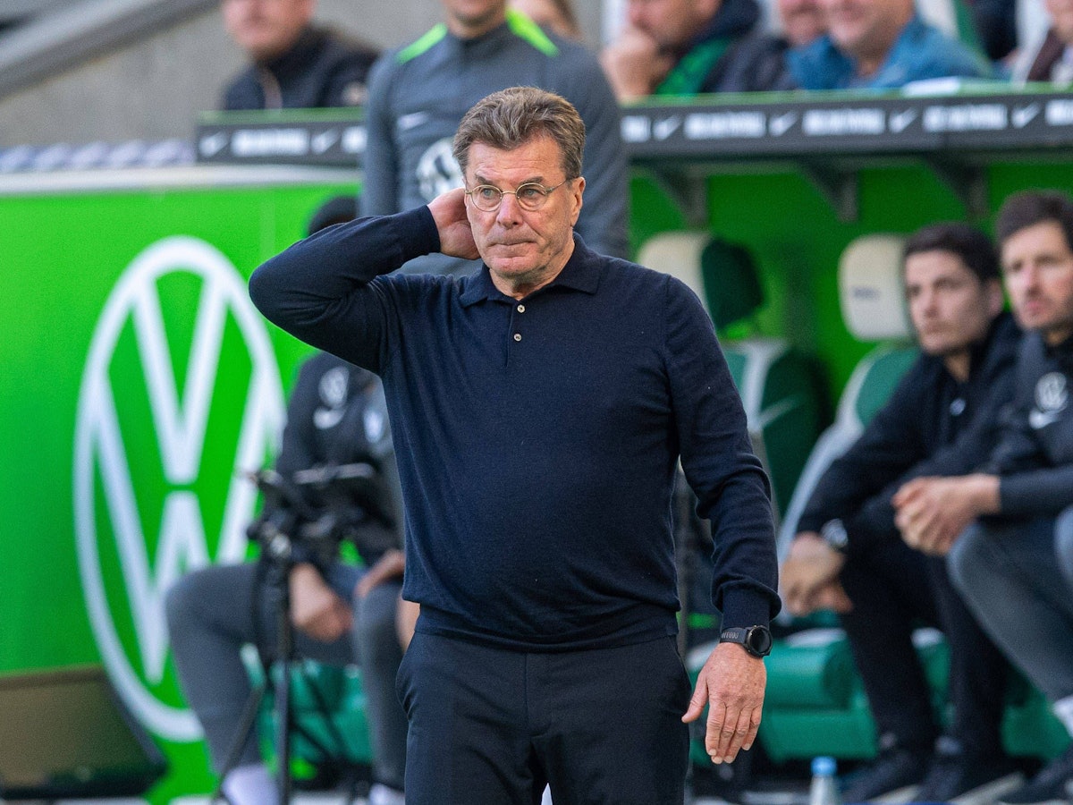 Wolfsburg-Trainer Dieter Hecking kratzt sich am Kopf.
