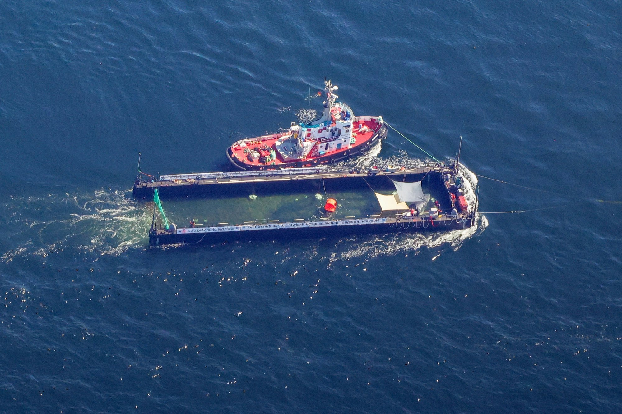 Der Buckelwal lag ein paar Tage in dieser Barge.