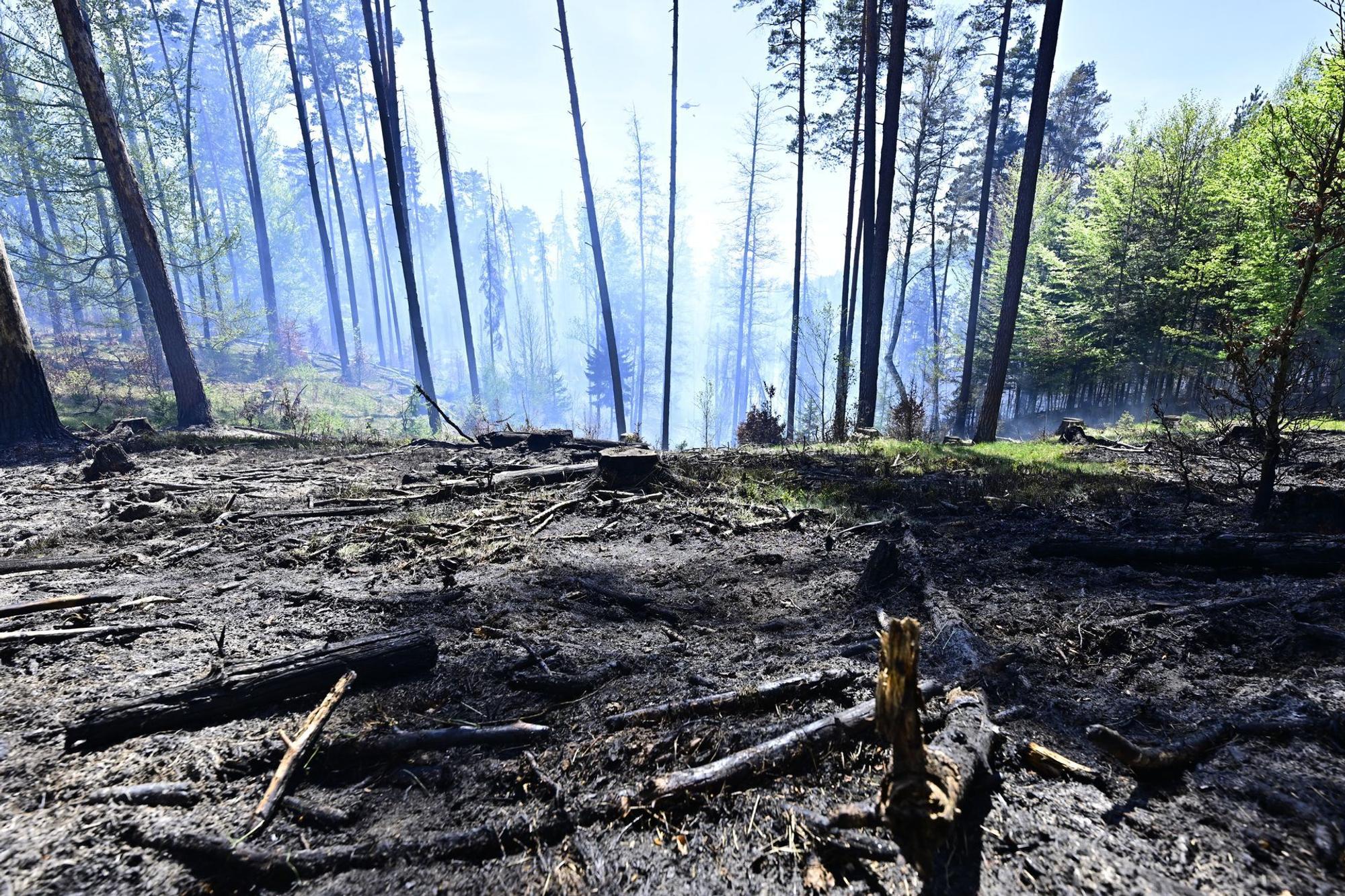Waldbrand im Nationalpark Böhmische Schweiz