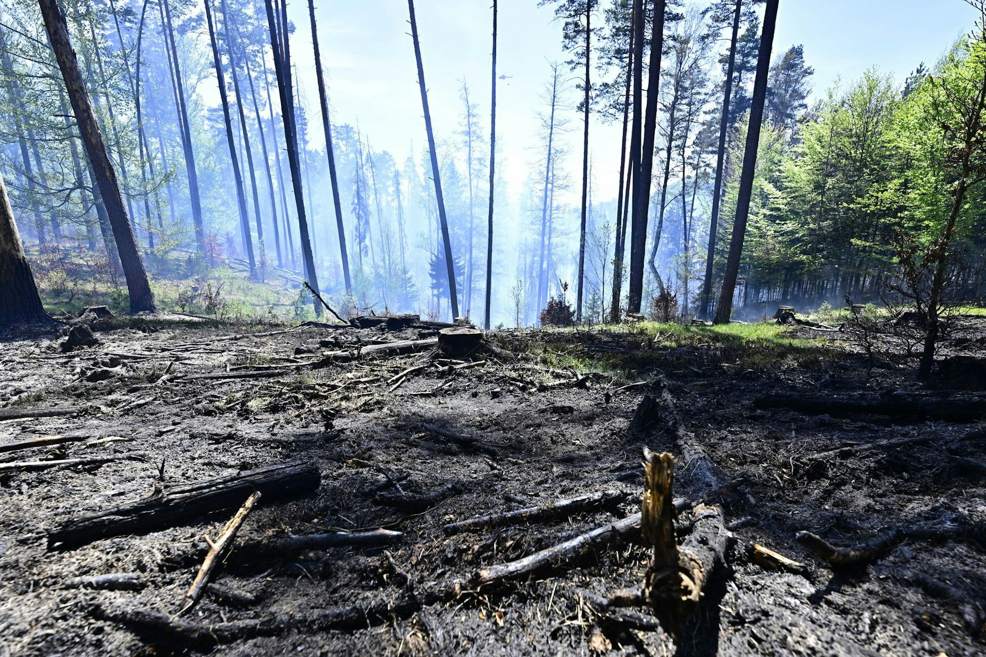 Waldbrand im Nationalpark Böhmische Schweiz