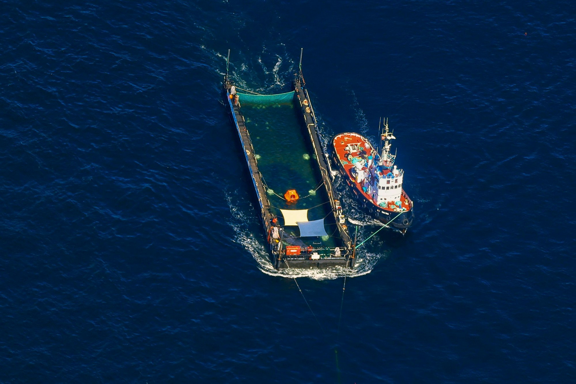 Der Buckelwal wird in seiner Barge vom Schlepper Fortuna B entlang der dänischen Küste in Höhe unterhalb von Skagen, im sogenannten Skagerrak, durch die Ostsee gezogen (Luftaufnahme aus einem Flugzeug).