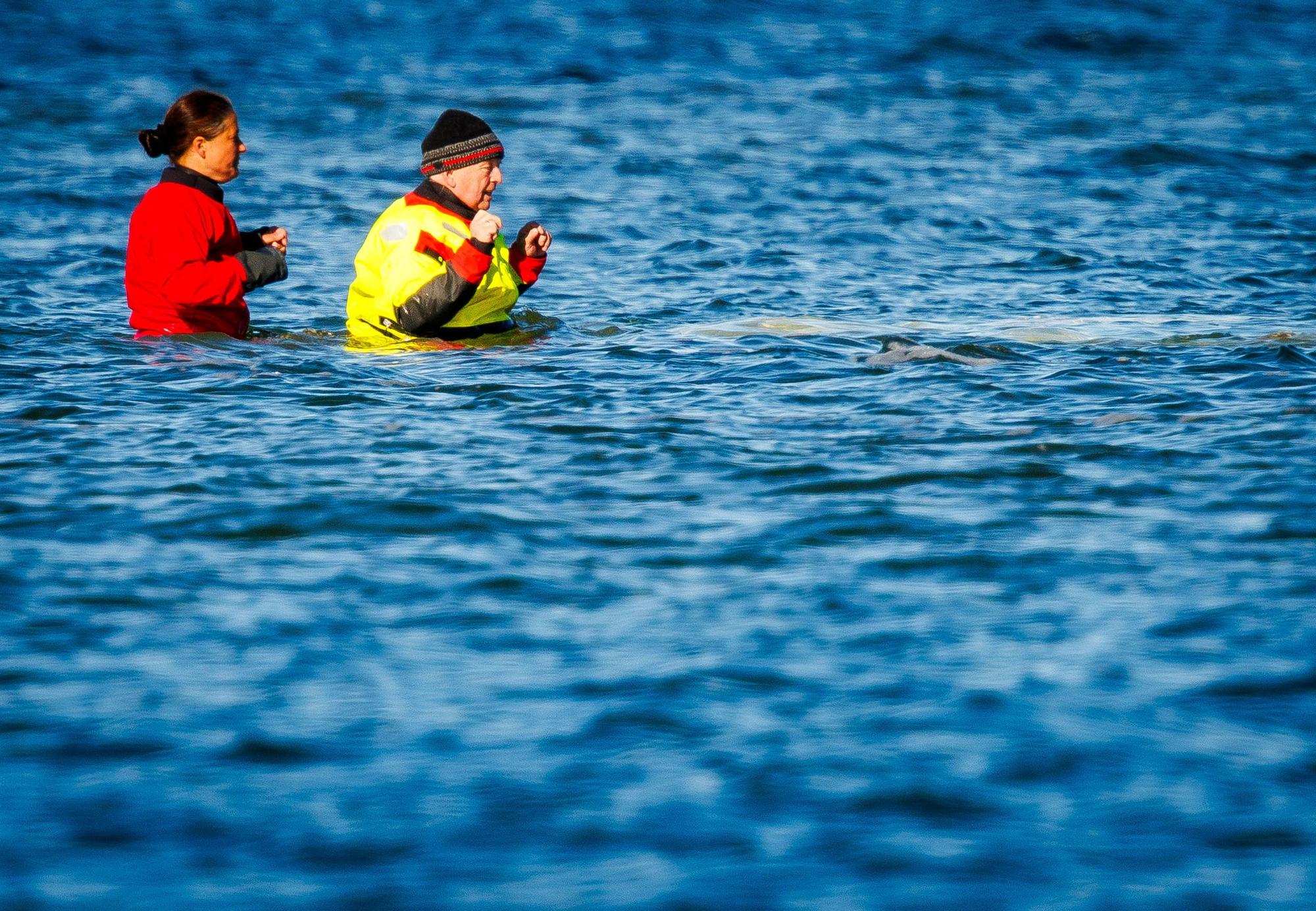 Mecklenburg-Vorpommerns Umweltminister Till Backhaus (SPD, r) geht durch das Wasser zum gestrandeten Buckelwal vor der Insel Poel.