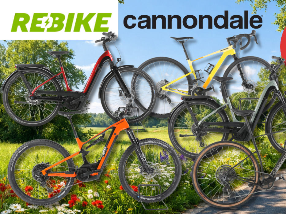 Eine Darstellung von 5 verschiedenen Cannondale E-Bikes vor einem Fahrradweg.