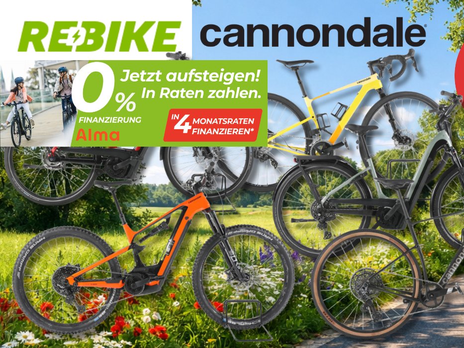 Eine Darstellung von 5 verschiedenen Cannondale E-Bikes vor einem Fahrradweg.