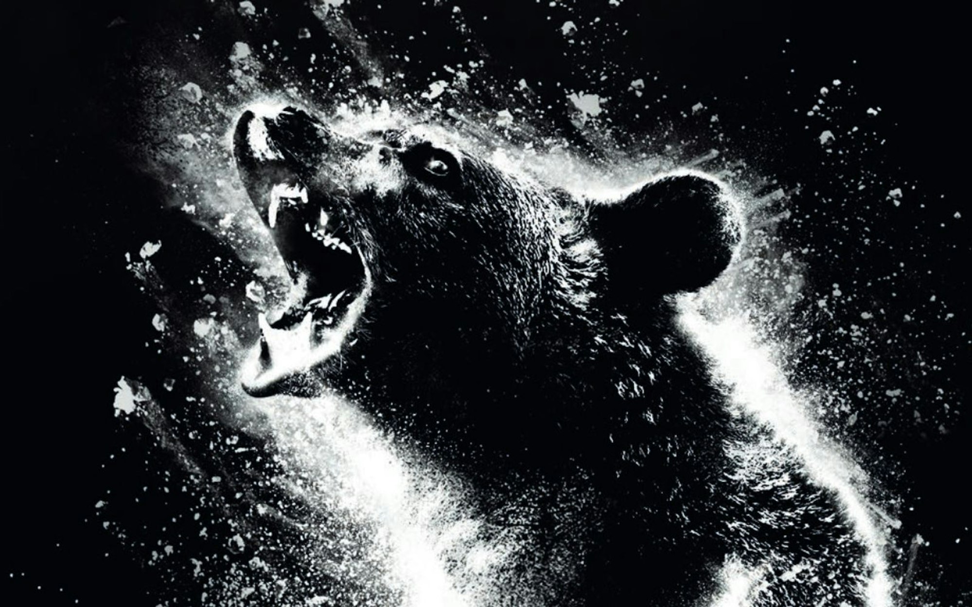 „Cocaine Bear“ erzählt von einem Bären, der im Koks-Rausch zur blutrünstigen Bestie wird. (Bild: 2023 Universal Studios)