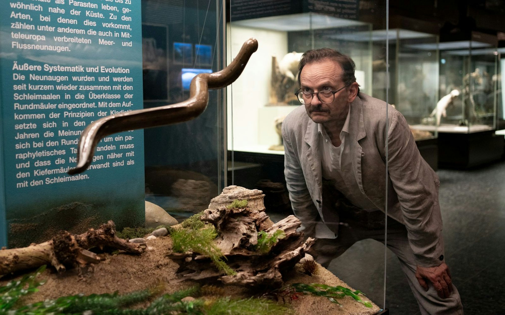 In seinem neuen Fall bekommmt es Danowski (Milan Peschel) mit einer bizarren Mordserie zu tun: In Hamburger Schulkellern werden mumifizierte Tote entdeckt. Die Leichen weisen Bissspuren von Neunaugen auf. Im Museum erfährt der Ermittler mehr über die „lebenden Fossilien“. (Bild: ZDF/Georges Pauly)