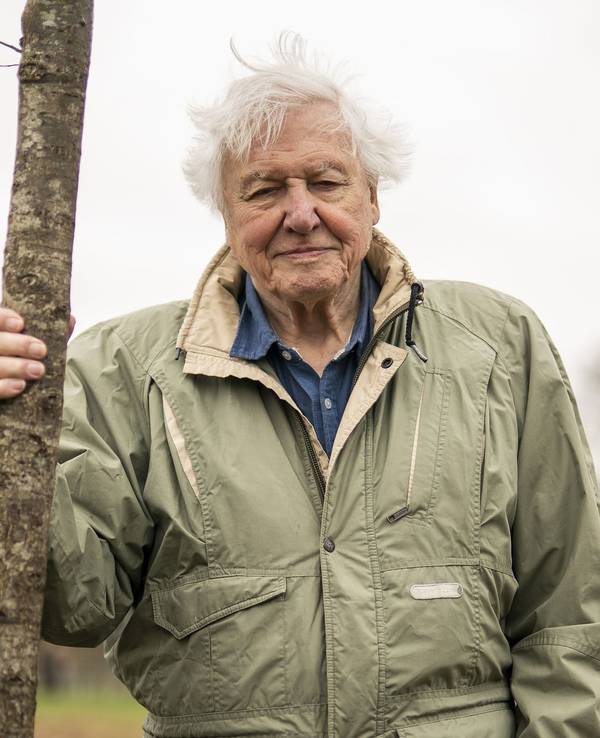 Sir David Attenborough