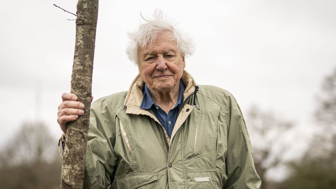 Sir David Attenborough