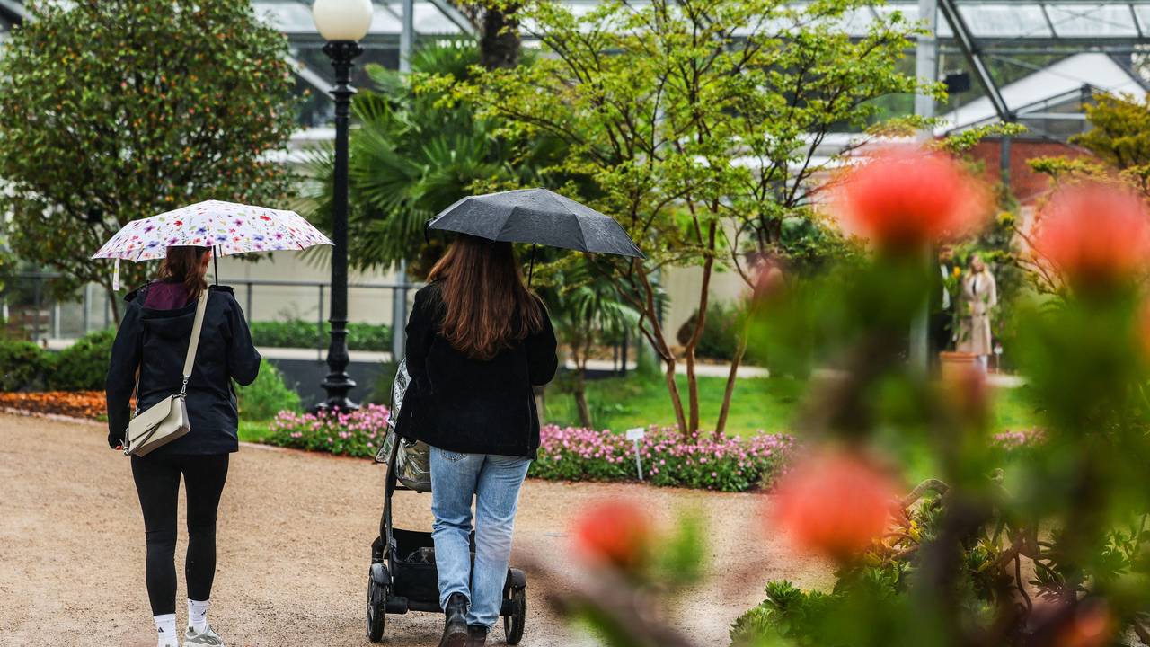 Zwei Frauen gehen bei Regen mit Schirmen durch die Kölner Flora, den botanischen Garten der Stadt.