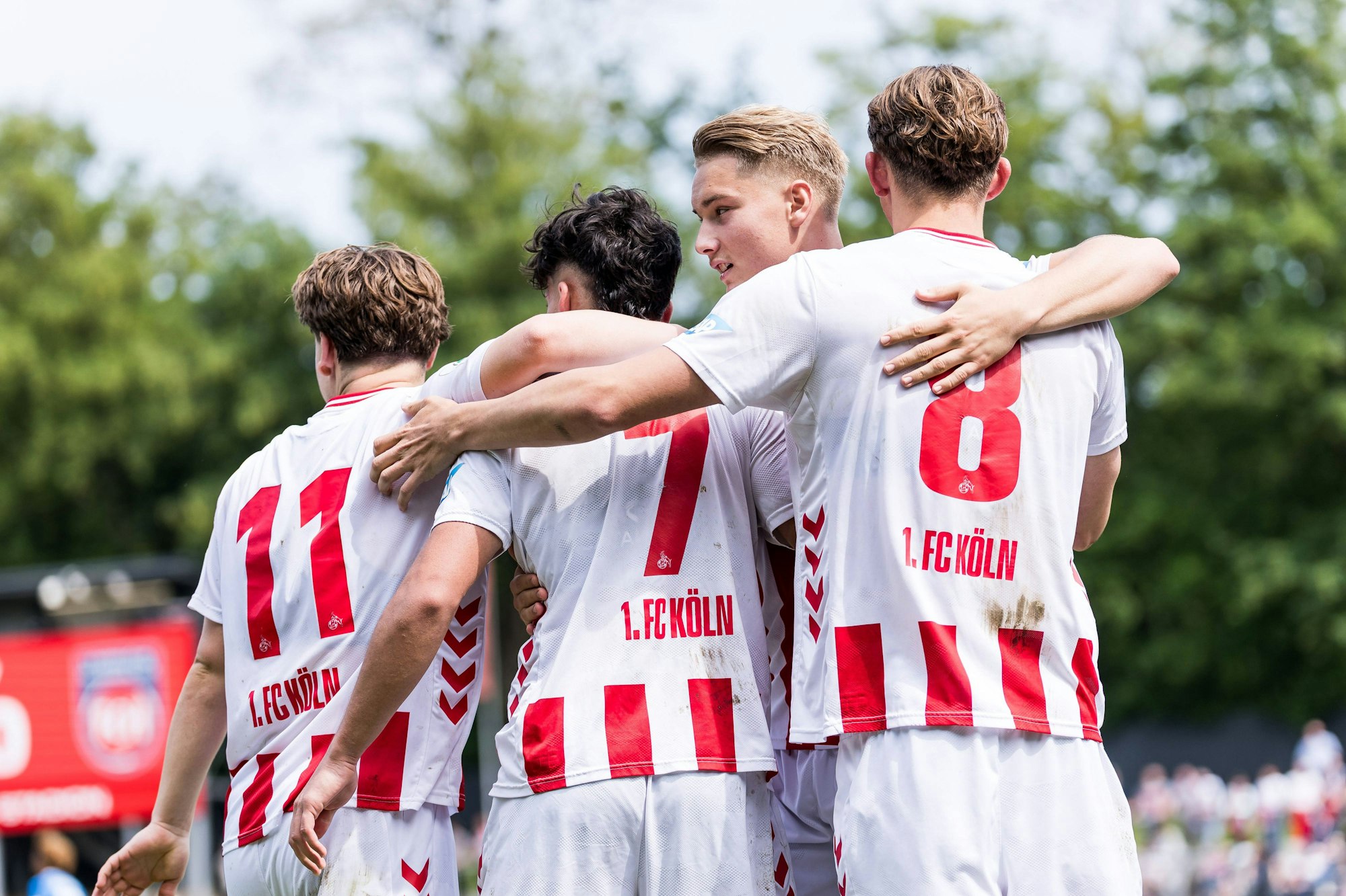 Spieler der U19 des 1. FC Köln jubeln über ein Tor.