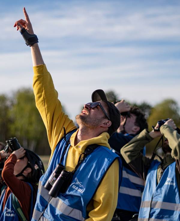 Young Birders Club
