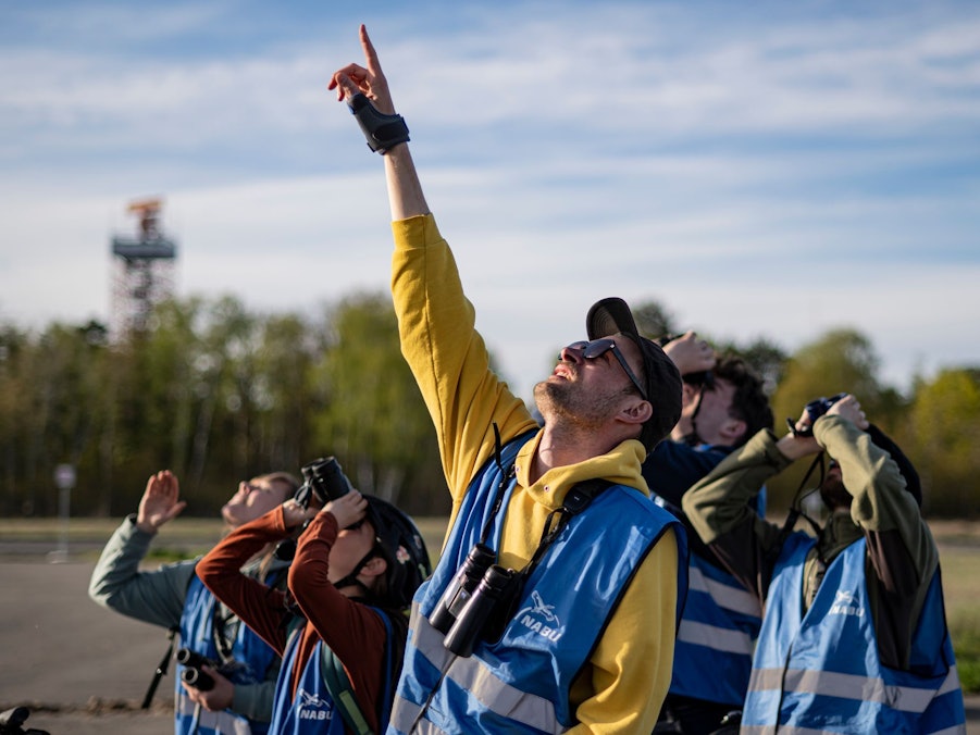 Young Birders Club
