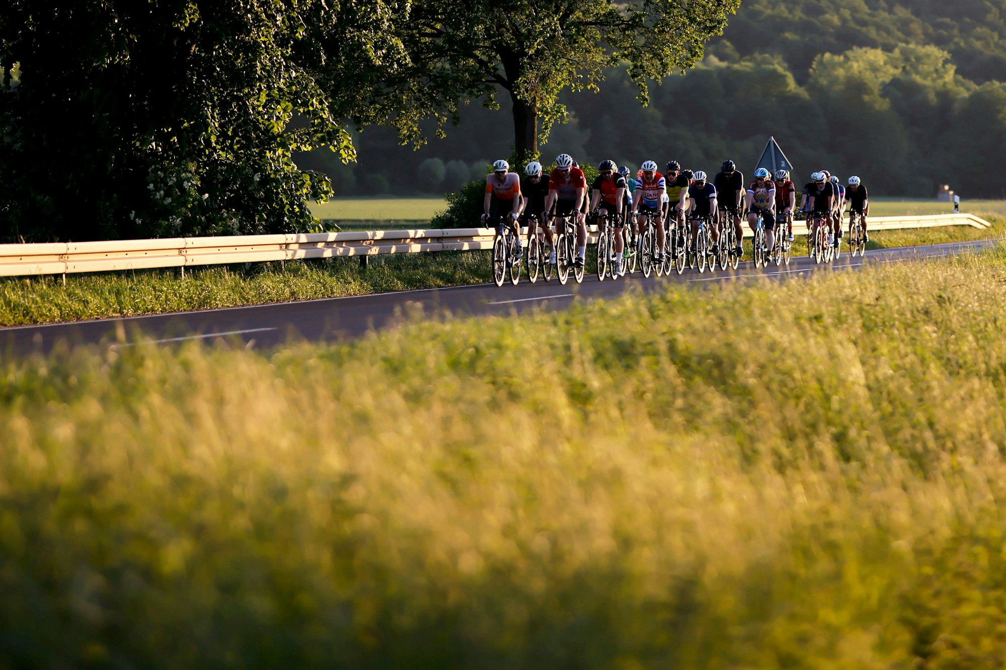 Radfahrer trainieren in der Gruppe für Radrennen wie Rund um Köln - hier auf einer Landstraße bei Bergheim im Mai 2025. (Symbolfoto)
