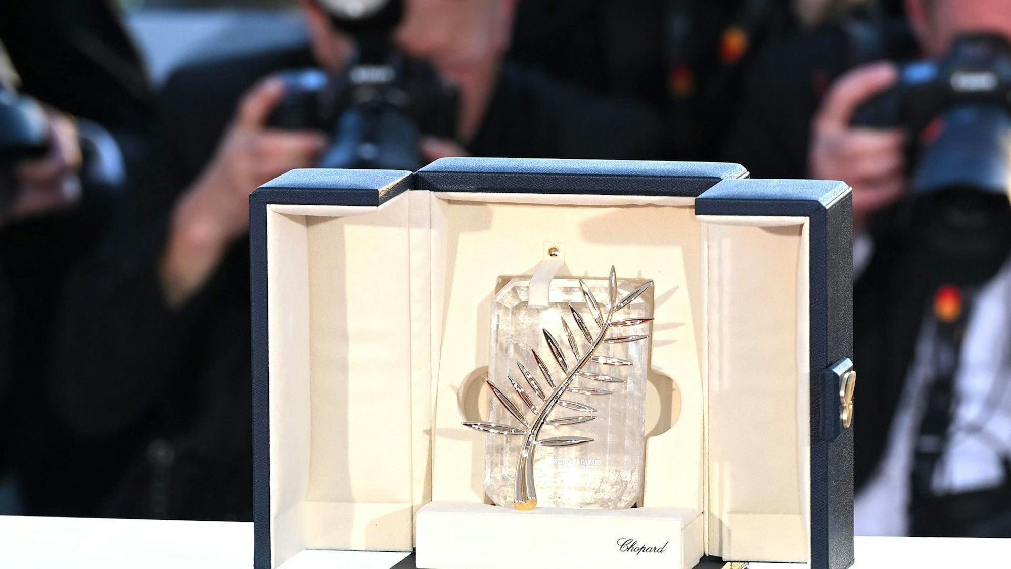 Filmfestival Cannes