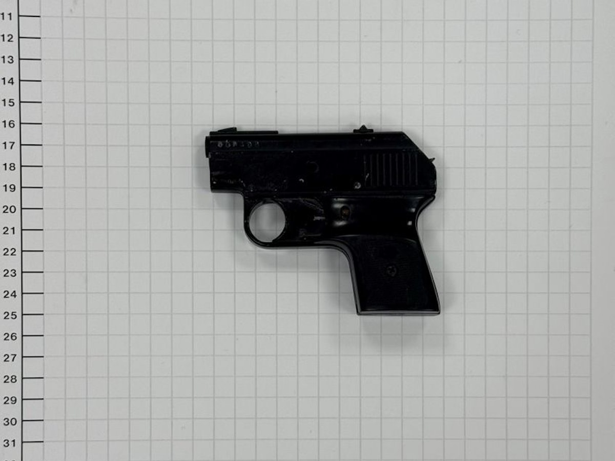 Die von der Bundespolizei sichergestellte Schreckschusswaffe.