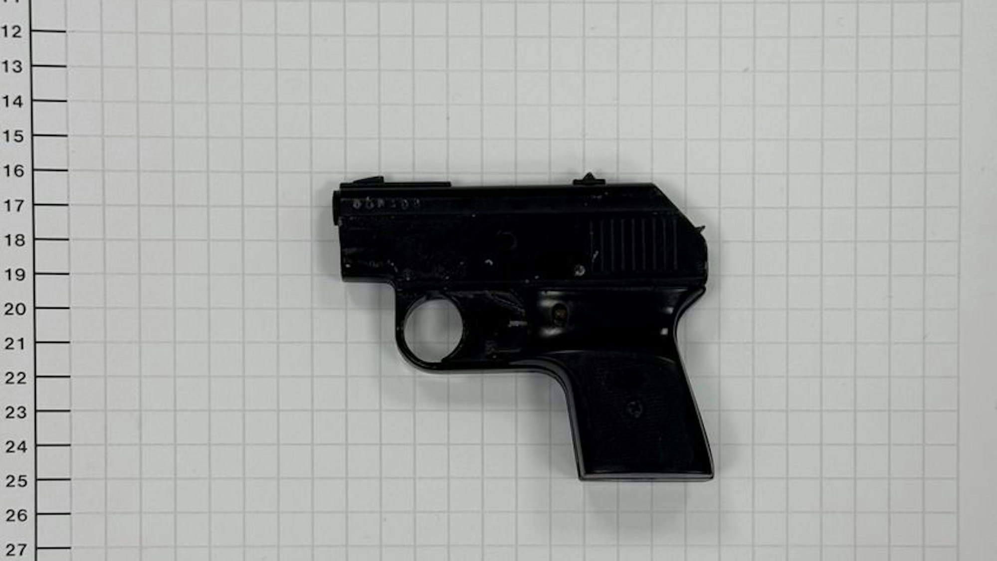 Die von der Bundespolizei sichergestellte Schreckschusswaffe.