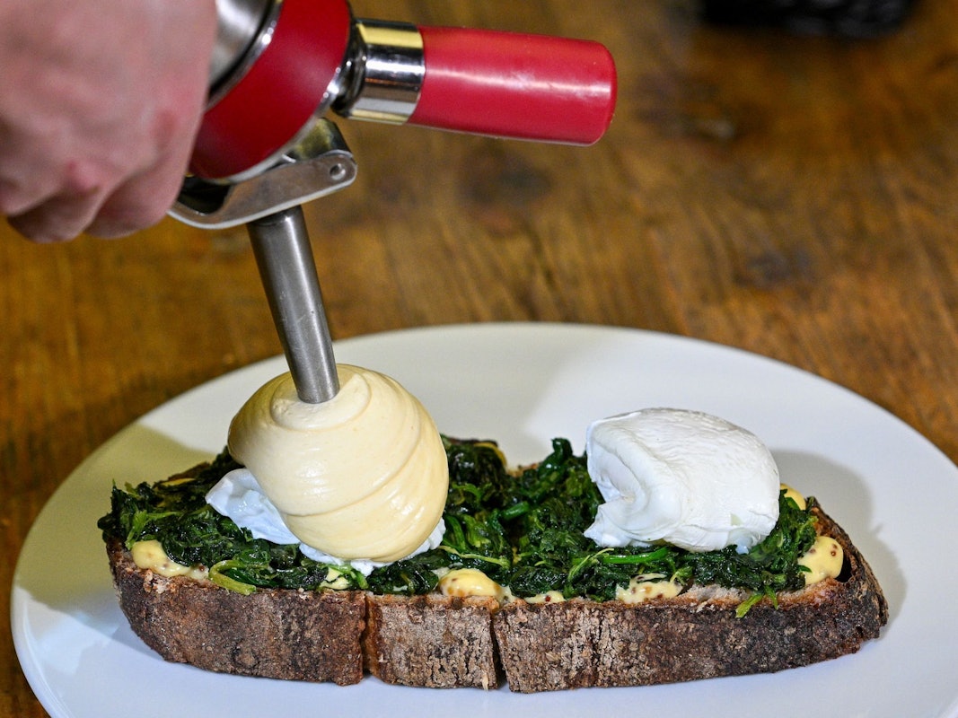 Koch richtet Sauce Hollandaise mit einem Sahnesyphon an